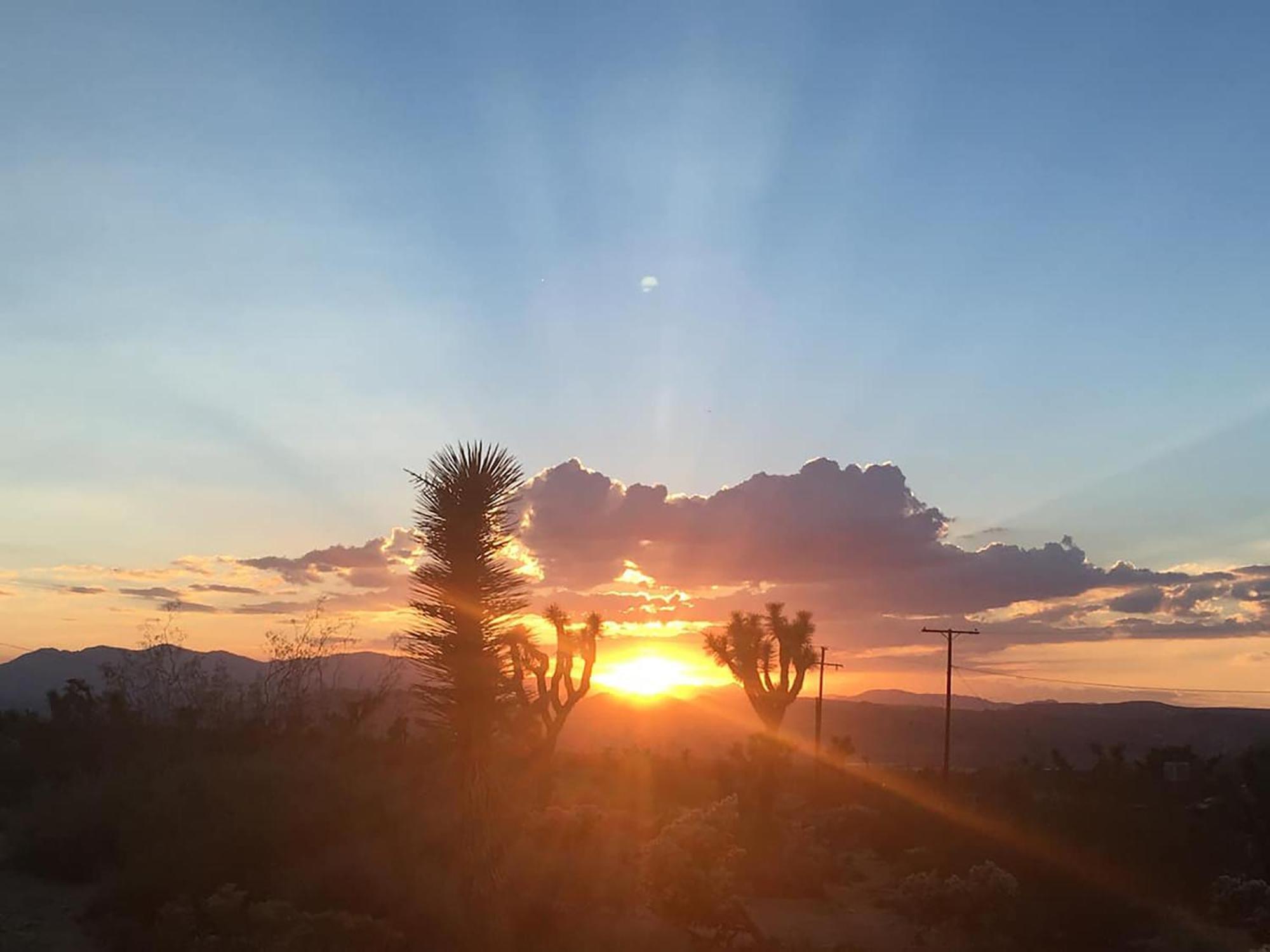Electroliquid'S Casa Pueblo Joshua Treeヴィラ エクステリア 写真